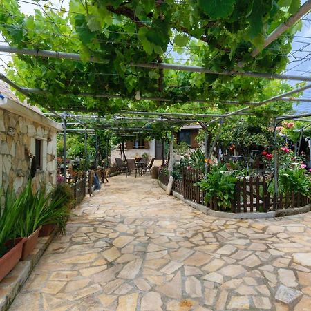 Dimitris'S Country House Agia  Exteriér fotografie