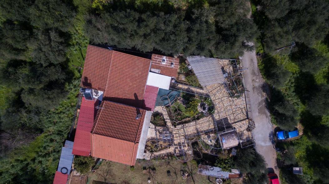 Dimitris'S Country House Agia  Exteriér fotografie