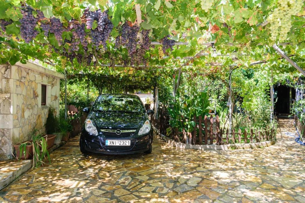 Dimitris'S Country House Agia  Exteriér fotografie
