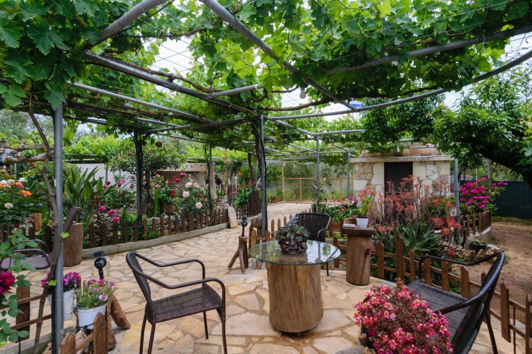 Dimitris'S Country House Agia  Exteriér fotografie