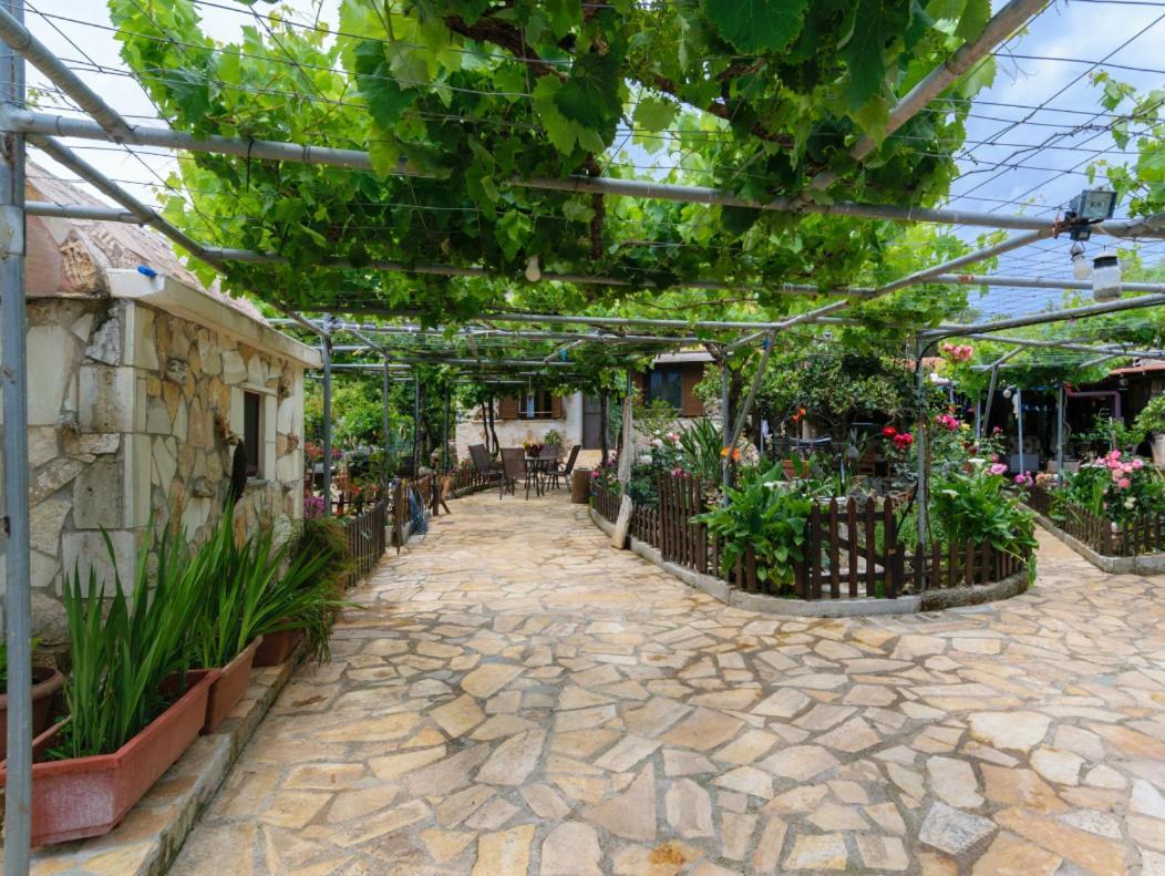 Dimitris'S Country House Agia  Exteriér fotografie